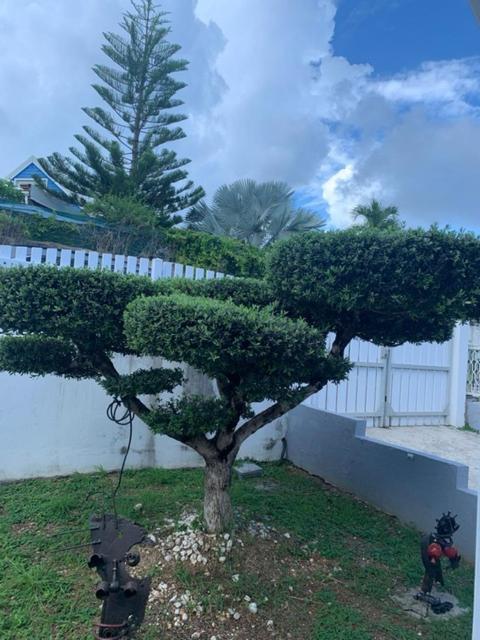 Studio Cozy Melissa Elegance - Guadeloupe , Le Gosier , Dampierre - Avec Pleine Vue Mer - Ocean A 180 Degres Le Gosier (Grande-Terre) Exterior photo